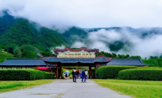 洞口雪峰云雾茶旅融合示范区挂牌，采茶制茶研学游预订火爆‌——探寻自然与人文的完美邂逅