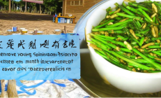 新邵龙山竹笋宴荣登省级非遗美食榜单，春笋宴预订需提前一月享美味