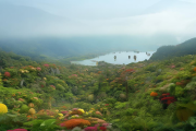 邵阳县生物多样性保护成果荣获全国典型案例殊荣