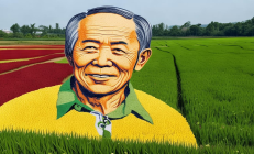 北塔区稻田艺术节呈现袁隆平肖像 3D彩稻画作致敬“禾下乘凉梦”