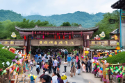 洞口茶旅融合示范区年营收破5亿，采茶制茶体验游火爆，乡村旅游新风尚