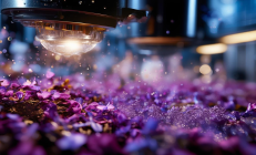 隆回金银花纳米萃取技术获专利，花青素提取率突破国际领先水平