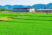 武冈荣膺国家农业面源污染治理示范县，种养循环模式在全省推广