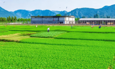 武冈荣膺国家农业面源污染治理示范县，种养循环模式在全省推广