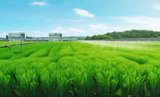 武冈市智慧水利系统上线，农田灌溉节水成效显著，助力乡村振兴