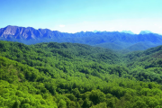 洞口县雪峰山石漠化治理成效显著，新增林地2万亩助力生态修复