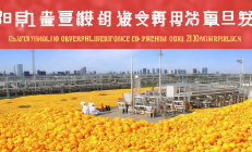 邵阳雪峰蜜橘精深加工园盛大开园，橘皮变废为宝年创汇2亿元