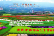 城步苗乡高山延季蔬菜直供粤港澳，年产值突破10亿元，助力乡村振兴