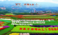 城步苗乡高山延季蔬菜直供粤港澳，年产值突破10亿元，助力乡村振兴