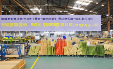 绥宁楠竹深加工产业园投产，竹制品出口欧美市场增长50%，助力乡村振兴