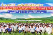 隆回金银花深加工基地盛大投产，年产值突破8亿元，助力乡村振兴