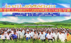 隆回金银花深加工基地盛大投产，年产值突破8亿元，助力乡村振兴