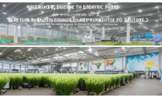 新邵黄花菜深加工产业园投产，助力中国黄花菜出口覆盖全球30国