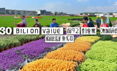 隆回龙牙百合产值突破30亿，创新“公司+合作社+电商”模式助力农民增收
