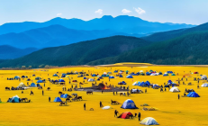 城步南山牧场成为全国草原诗歌峰会新地标，诗人牧民共话生态文学新篇章