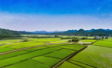新邵县稻田养鳅扶贫项目扩产，2000亩基地助力千名脱贫户迈向富裕之路
