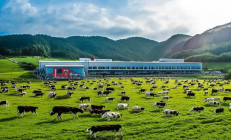 城步苗乡高山奶牛牧场竣工，日产鲜奶10吨直供粤港澳市场