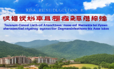 新宁县崀山旅游学校荣获省级产教融合示范基地称号，助力区域旅游人才培养