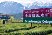 洞口县雪峰山茶产业学院成立，助力茶业人才培养新篇章
