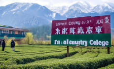 洞口县雪峰山茶产业学院成立，助力茶业人才培养新篇章