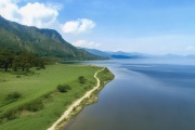 邵阳县河伯岭惊现国家一级保护植物资源——冷杉，生态监测站挂牌助力保护