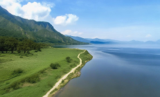 邵阳县河伯岭惊现国家一级保护植物资源——冷杉，生态监测站挂牌助力保护