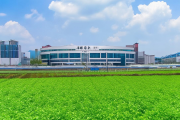 隆回县金银花产业腾飞，年产值突破30亿，全国首个金银花期货交易中心挂牌成立
