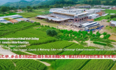 邵阳县油茶产业学院成立，助力乡村振兴年培训技术农民超5000人