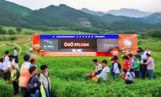 新宁县崀山脐橙IP发布，农旅融合销售额突破5亿元