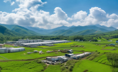 城步南山乳业崛起，亚洲最大高山牧场助力液态奶产量跻身全国前三