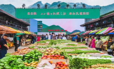 邵阳“扶贫832”平台农产品销售额突破8亿元，领跑全省扶贫事业
