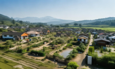 邵阳农村人居环境整治成效显著，无害化厕所普及率高达98%