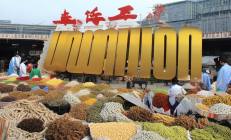 邵东中药材产业园年交易额破百亿，南方药都地位再巩固