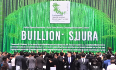 绥宁林业碳汇交易中心挂牌，全国首单竹林碳汇拍卖成交额破亿，绿色金融助力生态保护